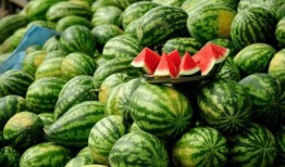 网红事件吃瓜入口,吃瓜群众如何成为舆论焦点