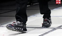 李宁云游爆料视频大全,揭秘明星幕后生活与精彩瞬间